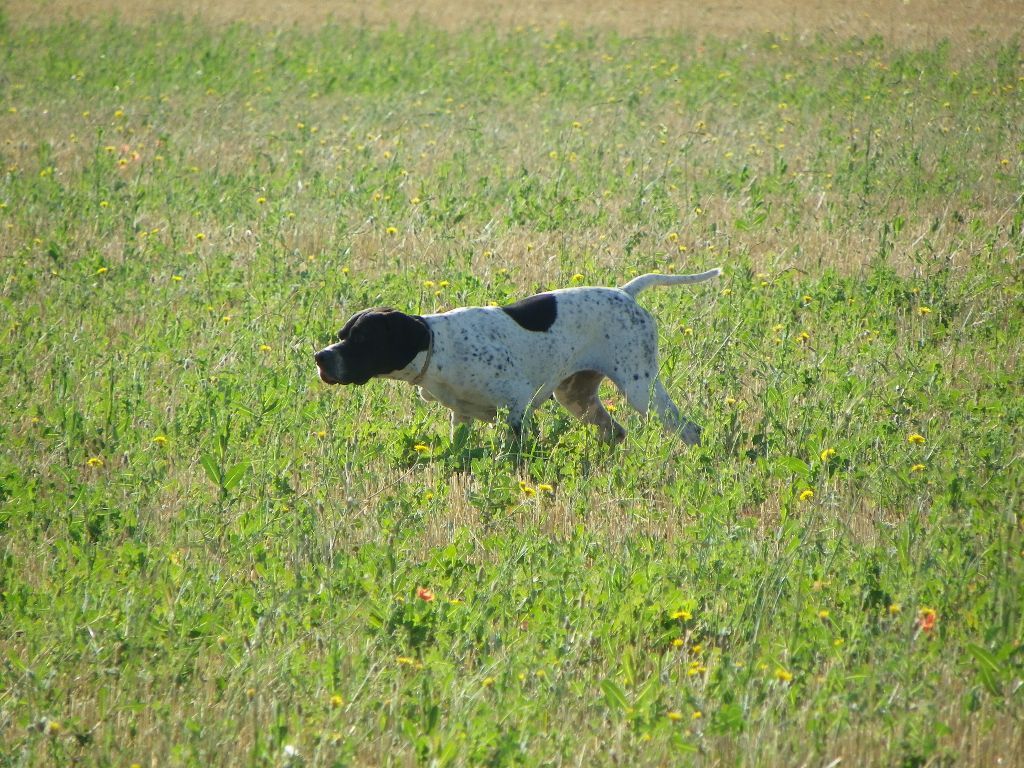 des Dames de Lachamp - Saison de Chasse...