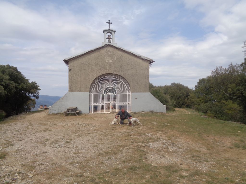 Des Dames de Lachamp - Élevage de Setter Anglais à Le Martinet